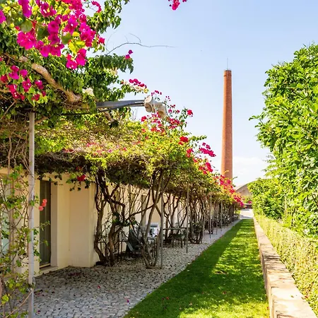 Sweet - Convento Bernardas *
